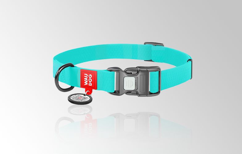 Waterproof glowing dog collar with QR passport WAUDOG 40 mm wide, 46-70 cm long, Waudog 4201000090