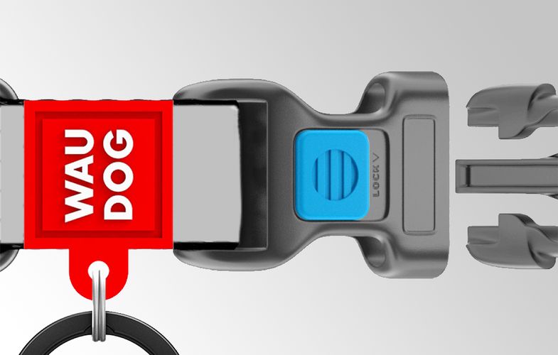 Waterproof glowing dog collar with QR passport WAUDOG 40 mm wide, 46-70 cm long, Waudog 4201000090