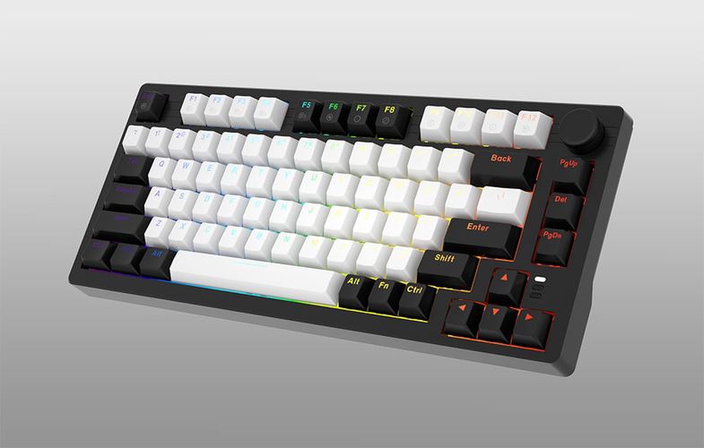 Dareu EK75 RGB wired keyboard (black and white), Dareu EK75 white-black