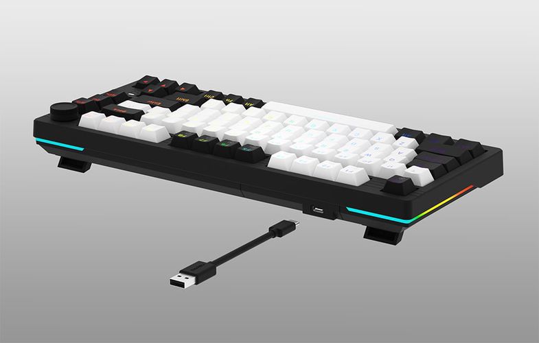 Dareu EK75 RGB wired keyboard (black and white), Dareu EK75 white-black