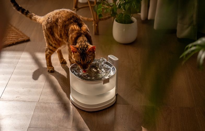 Cheerble E1+ smart dog and cat fountain/drinker, Cheerble CDY02