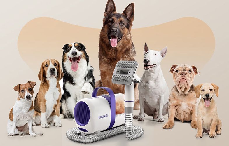 Pet grooming vacuum kit Oneisall LM5, Oneisall LM5