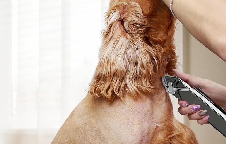 Trimmer / Pet clipper Oneisall RFC-676, Oneisall RFC-676