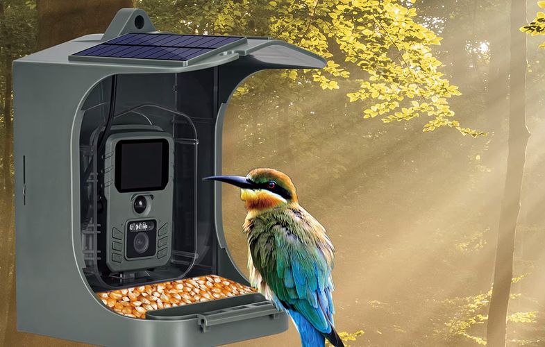 Kamera Suntek Bird feeder Camera, Suntek BC303W