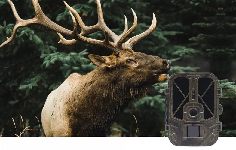 Suntek 4K WiFi + APP Wifi 940pro Trail Camera, Suntek Wifi 940pro