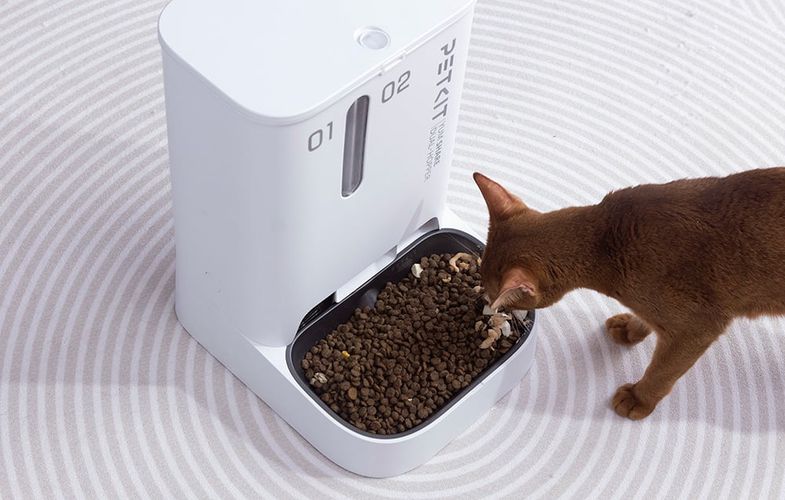 Smart food dispenser PetKit Yumshare Dual Hopper, Petkit P591