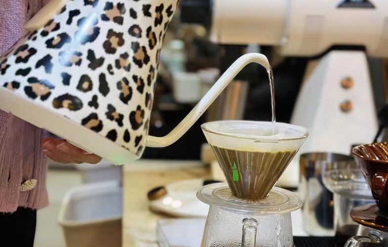 Coffee Gooseneck Kettle Cocinare Leopard, Cocinare CEK-201 - leopard