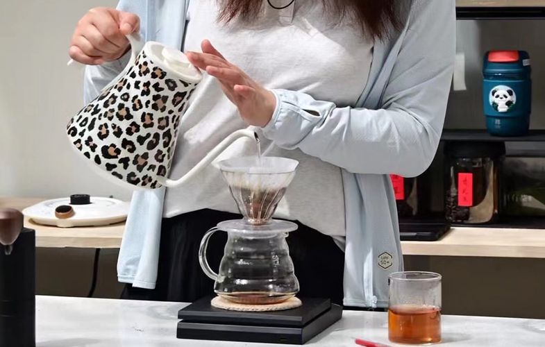 Coffee Gooseneck Kettle Cocinare Leopard, Cocinare CEK-201 - leopard