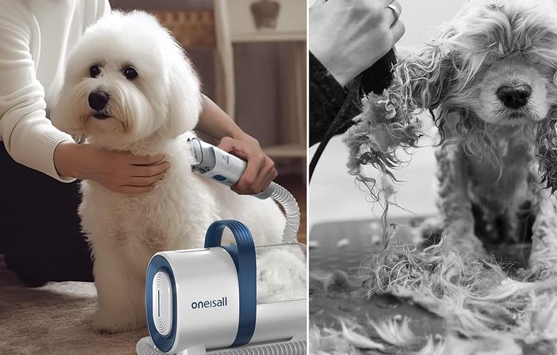 Pet grooming kit Oneisall LM2, Oneisall LM2