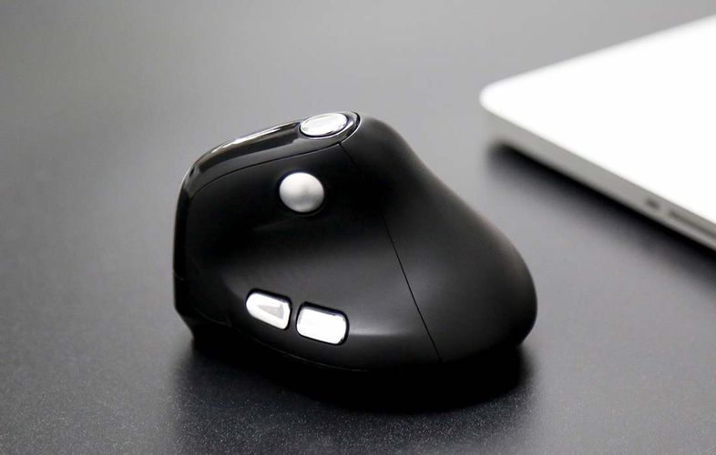 Wireless Ergonomic Mouse Delux M618XSD BT+2.4G RGB, Delux M618XSD (Black)