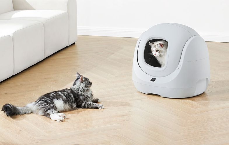 Catlink BayMax Lite intelligent self-cleaning cat litter box, Catlink CL-CA-03