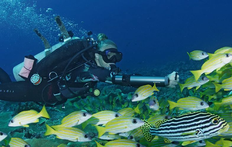 Waydoo submersible, Waydoo 5010000105