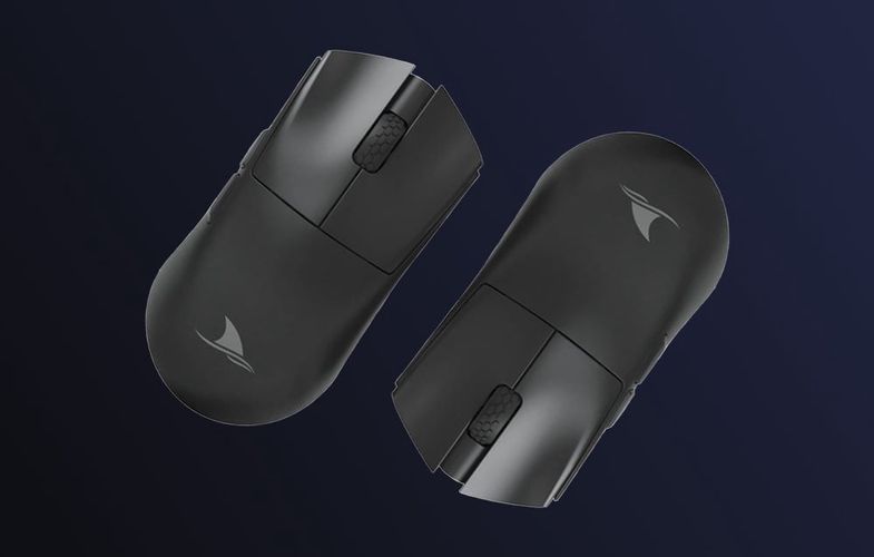 Wireless Gaming Mouse Darmoshark M3s (black), Darmoshark M3s black