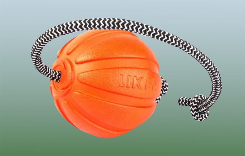 Ball on a rope for small and medium dogs Liker Cord 7 Waudog, Waudog 6296