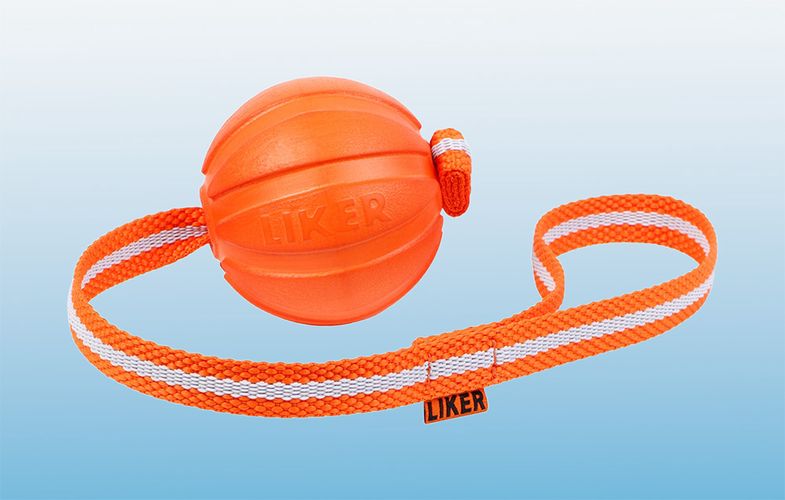 Ball on a rope for puppies and small dogs Liker Line 7 Waudog, Waudog 6287