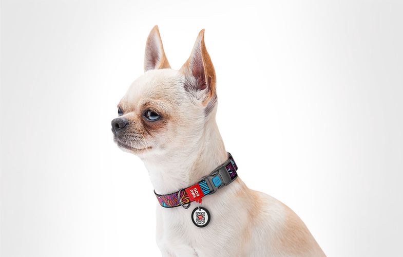 Nylon dog collar with QR code Waudog "Summer" size M, Waudog 4588