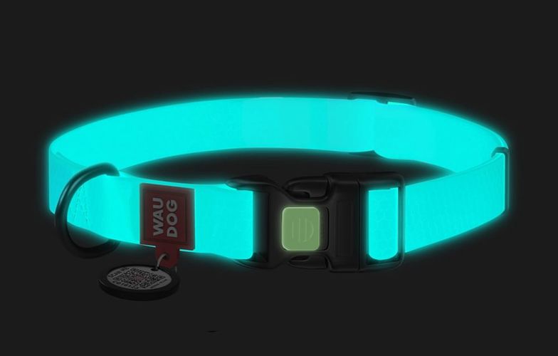 Luminous waterproof dog collar with QR code Waudog size S turquoise, Waudog 2744