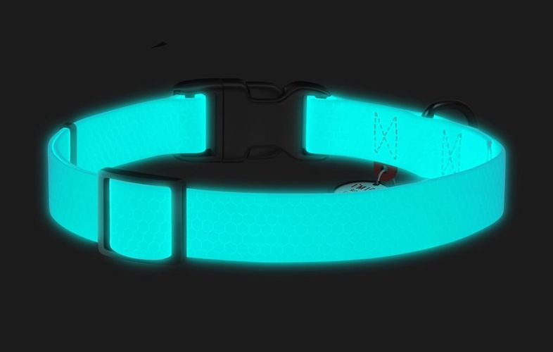 Luminous waterproof dog collar with QR code Waudog size S turquoise, Waudog 2744