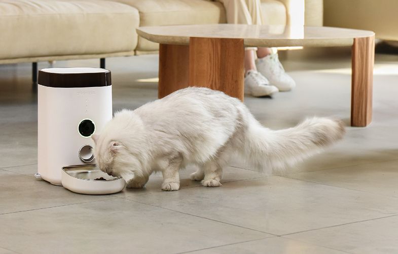 Automatic pet feeder with Camera Dogness F10 3.6L, Dogness F10