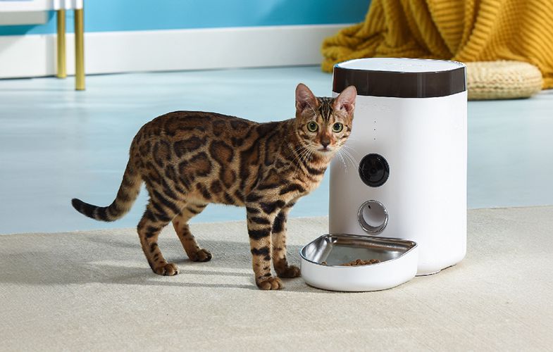 Automatic pet feeder with Camera Dogness F10 3.6L, Dogness F10