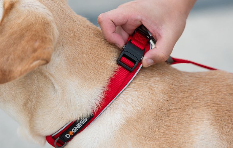 Reflective collar Dogness size M (Red), Dogness Reflective M RED