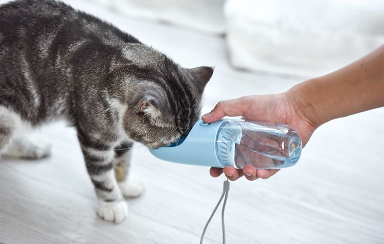 Travel Bottle with container Dogness D11 400ml (Blue), Dogness D11 Blue