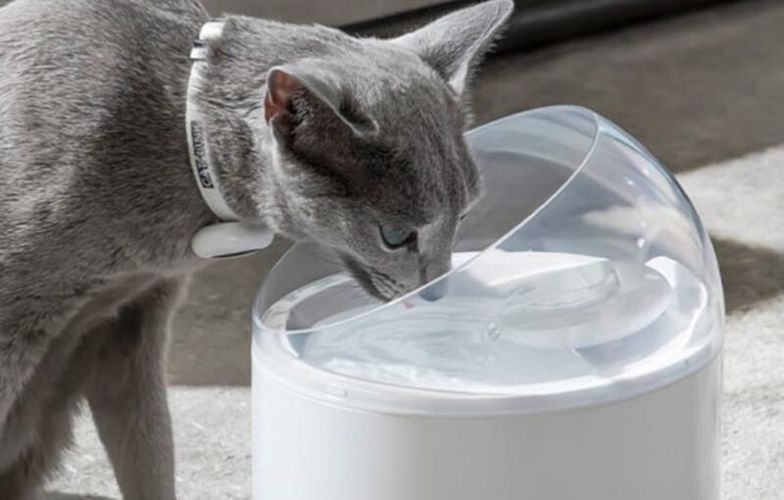 Water Fountain for pets Catlink Pure 2, Catlink "CL-WA-01 "