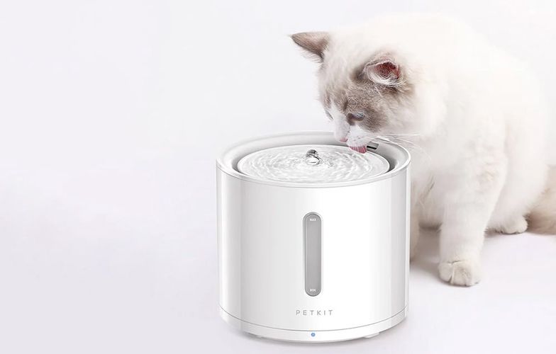 Petkit Eversweer Solo 2 smart pet fountain/drinker, Petkit SOLO 2