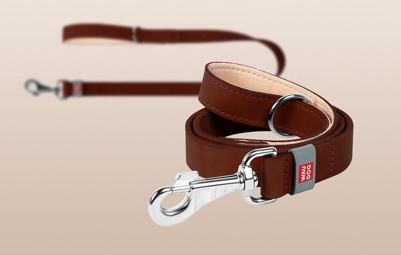 WAUDOG natural leather dog leash 20 mm wide, 122 cm long brown, Waudog 08146