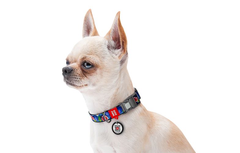 Waudog "Fig" nylon dog collar with QR code, size M, Waudog 281-4053