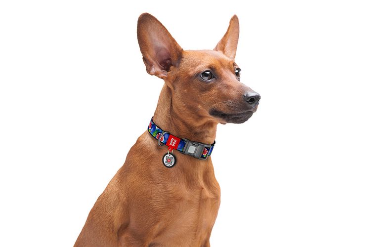 Waudog "Fig" nylon dog collar with QR code, size L, Waudog 282-4053