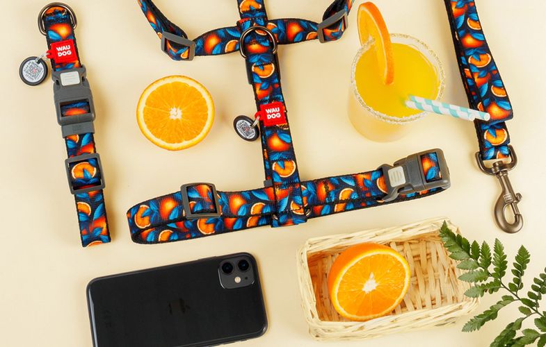 Waudog "Oranges" nylon dog collar with QR code, size M, Waudog 281-4054