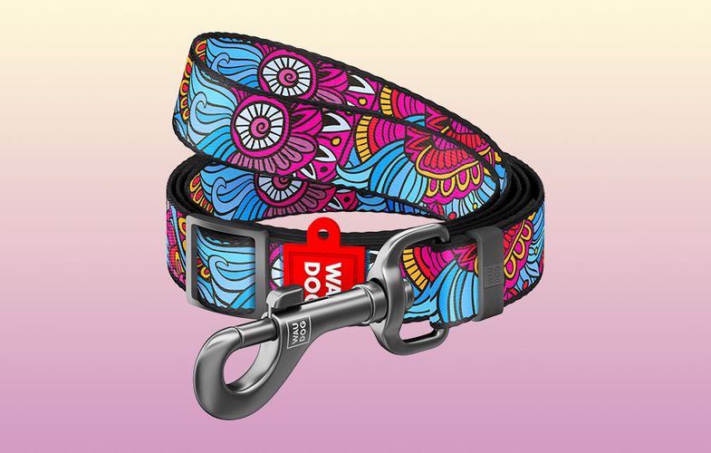 Waudog nylon dog leash, "Summer" pattern, 25 mm wide, length 152-183 cm, Waudog 5327