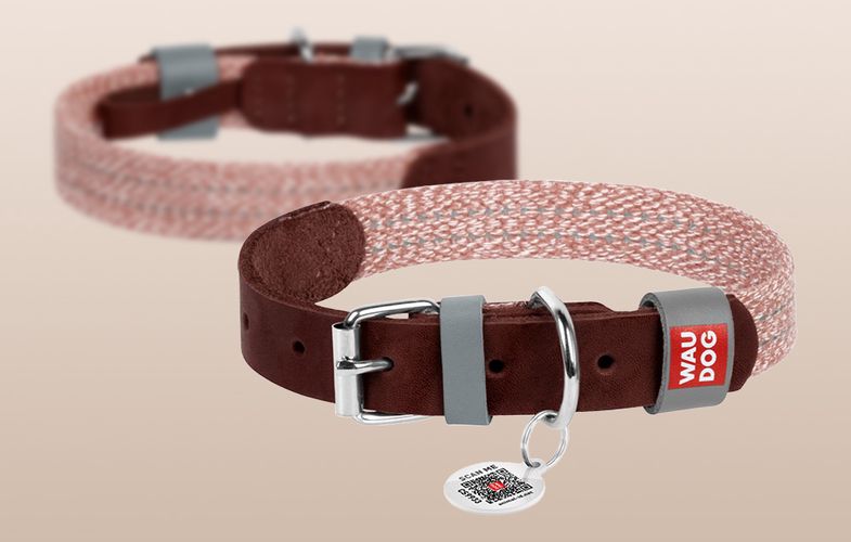 Dog collar made of natural leather and recycled material with QR code Waudog size L, width 25 mm, brown, Waudog 58936