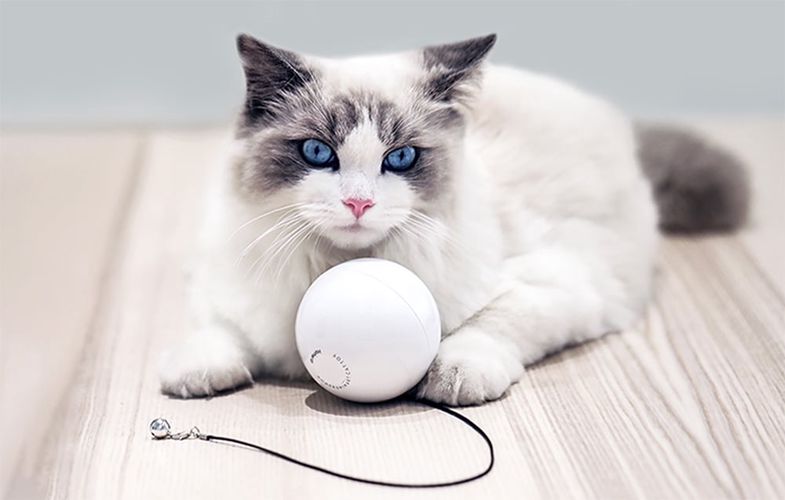 Smart toy / play ball for dog / cat Homerunpet TB10-1, Homerunpet TB10-1