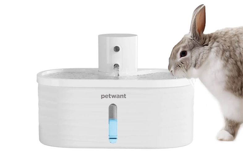 Petwant W4-L smart fountain/drinker for dog and cat, PetWant W4-L