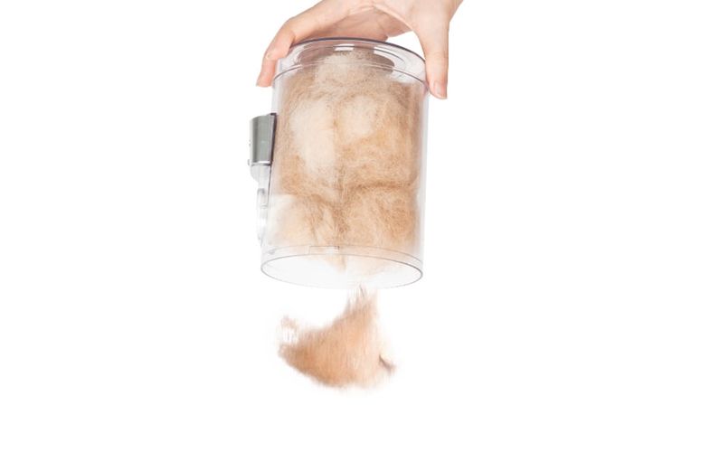 Neakasa P0 vacuum cleaner / fur grooming kit, Neakasa P0 Pro