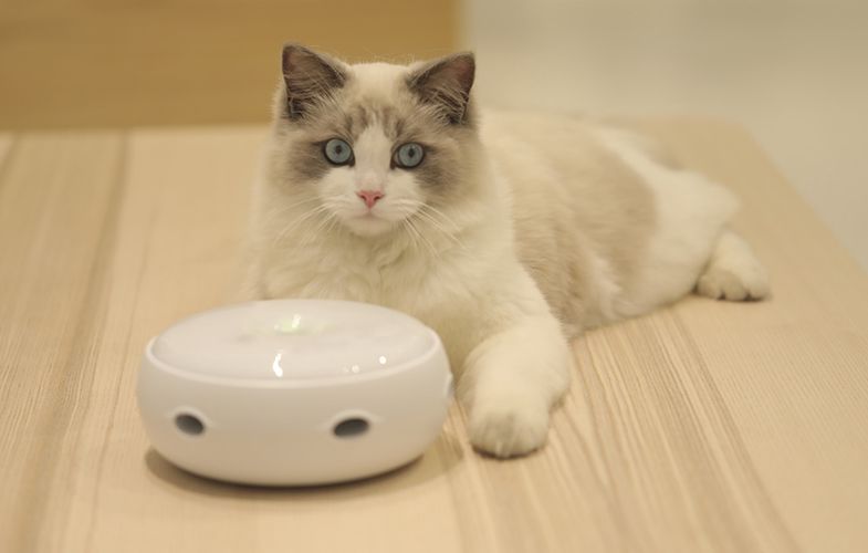 Intelligent cat toy Homerunpet CT10, Homerunpet CT10