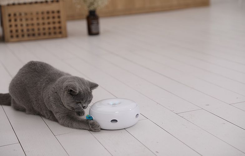 Intelligent cat toy Homerunpet CT10, Homerunpet CT10