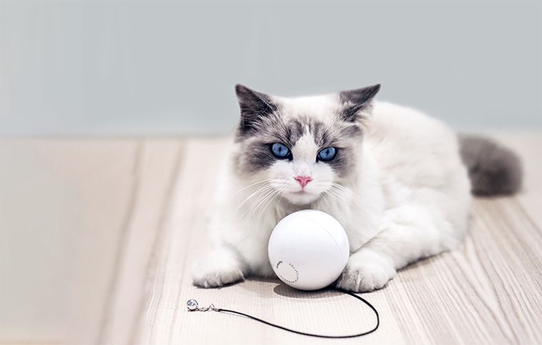 Smart play ball for dog/cat Homerunpet TB10, Homerunpet TB10