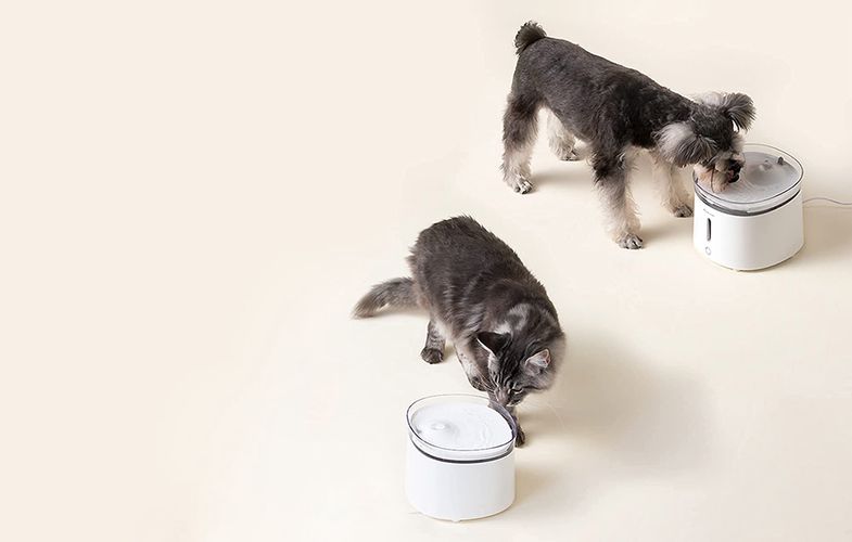 Water Fountain for pets Homerunpet WF20, Homerunpet WF20