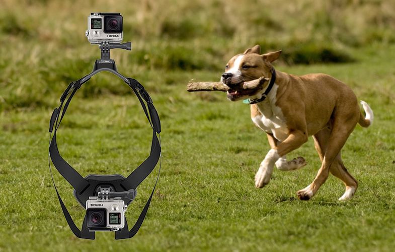 Dog chest strap PULUZ for action cameras (GoPro, Insta360, DJI Action etc.), Puluz PU156