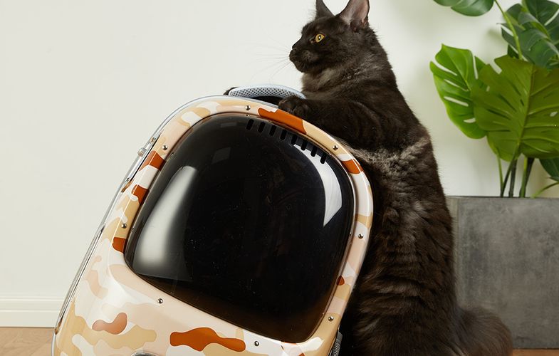 Pet Travel Backpack PetKit Breezy 2 (Desert Moro), Petkit Breezy 2-DC