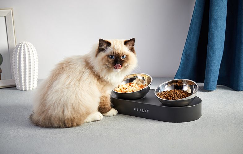Bowls for dogs and cats Petkit Fresh Nano, Petkit Fresh Nano Metal