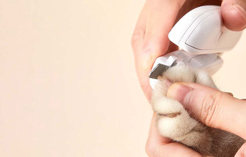 LED nail clippers PetKit, Petkit LED Nail Clippers
