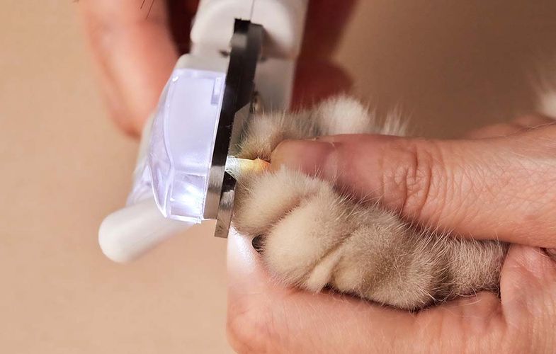 LED nail clippers PetKit, Petkit LED Nail Clippers