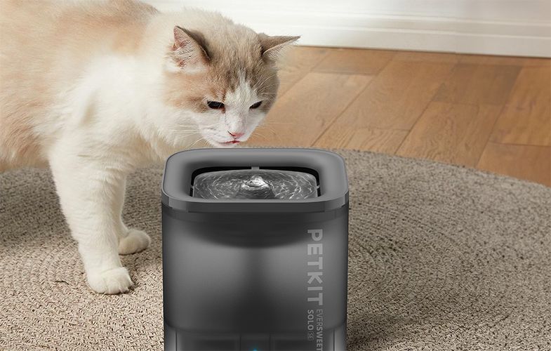 Fountain/ drinker for Dog and Cat PetKit Eversweet SOLO SE (dark gray), Petkit P4103S