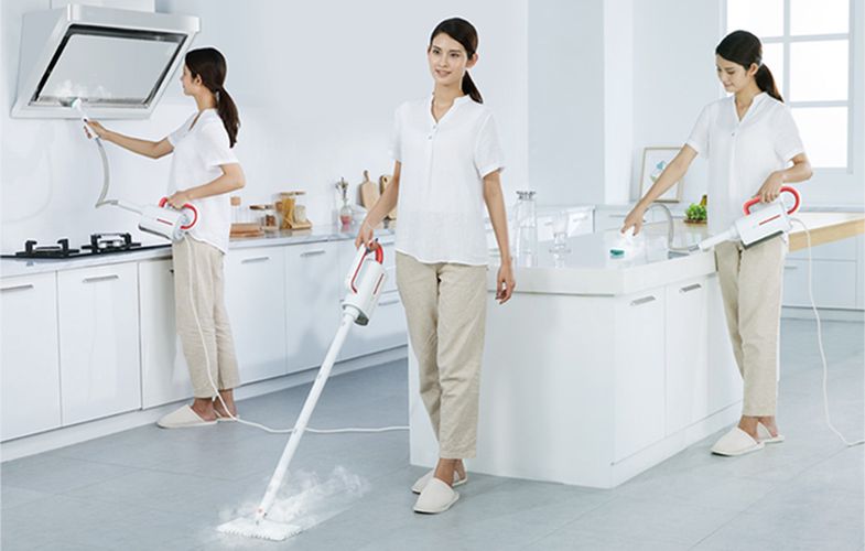 Multifunctional steammer DEERMA ZQ610, Deerma ZQ610