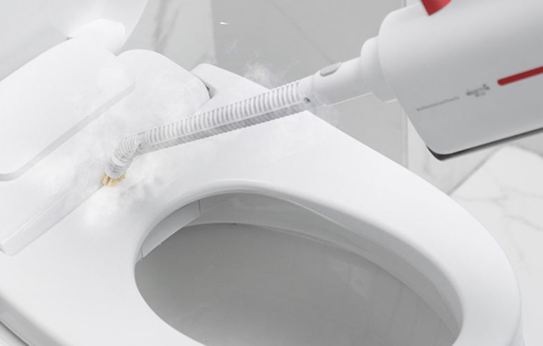Multifunctional steammer DEERMA ZQ610, Deerma ZQ610