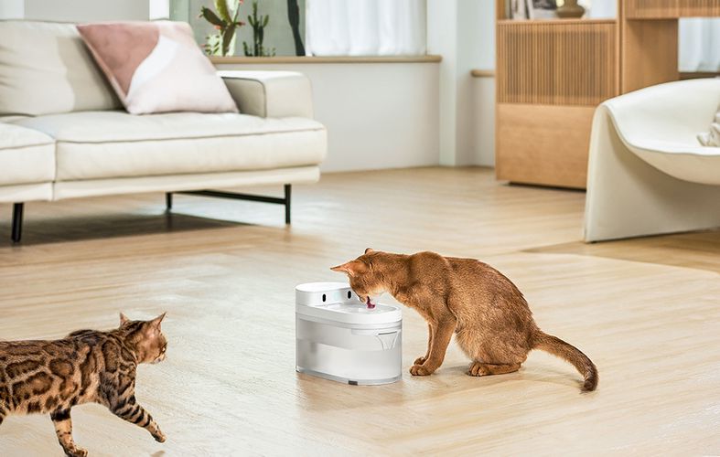 Water Fountain for pets Catlink Pure 3 Wireless, Catlink CL-WB-01